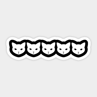 Cats, Cats, Cats! Sticker